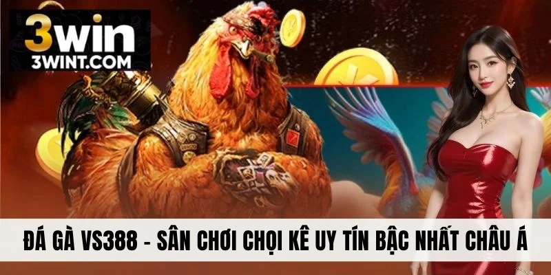 Đá Gà VS388 - Sân Chơi Chọi Kê Uy Tín Bậc Nhất Châu Á
