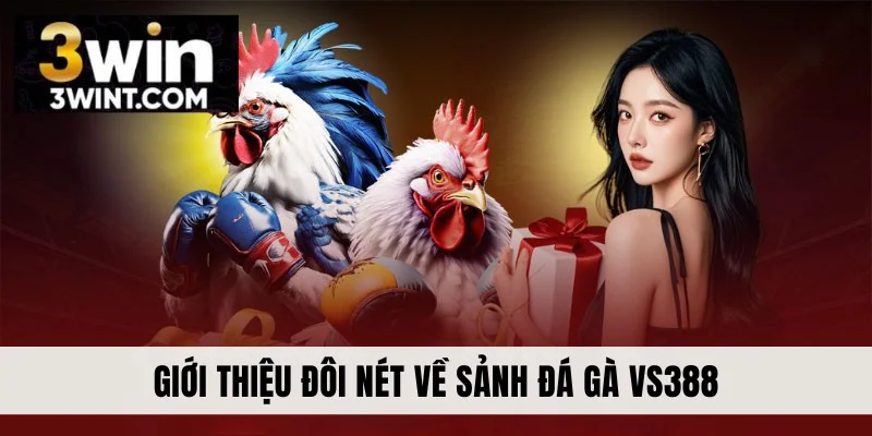 Giới thiệu đôi nét về sảnh đá gà VS388